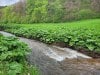 20240503_155827-Gecomprimeerd-1