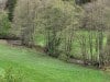 20240505_150609-Gecomprimeerd