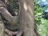 20240509_133720-Gecomprimeerd-1
